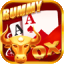 hi rummy login